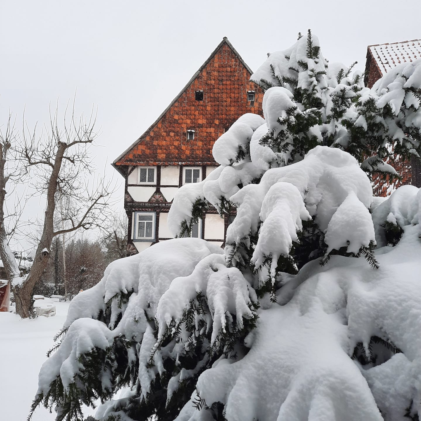 Haus im Schnee, Winter 2021