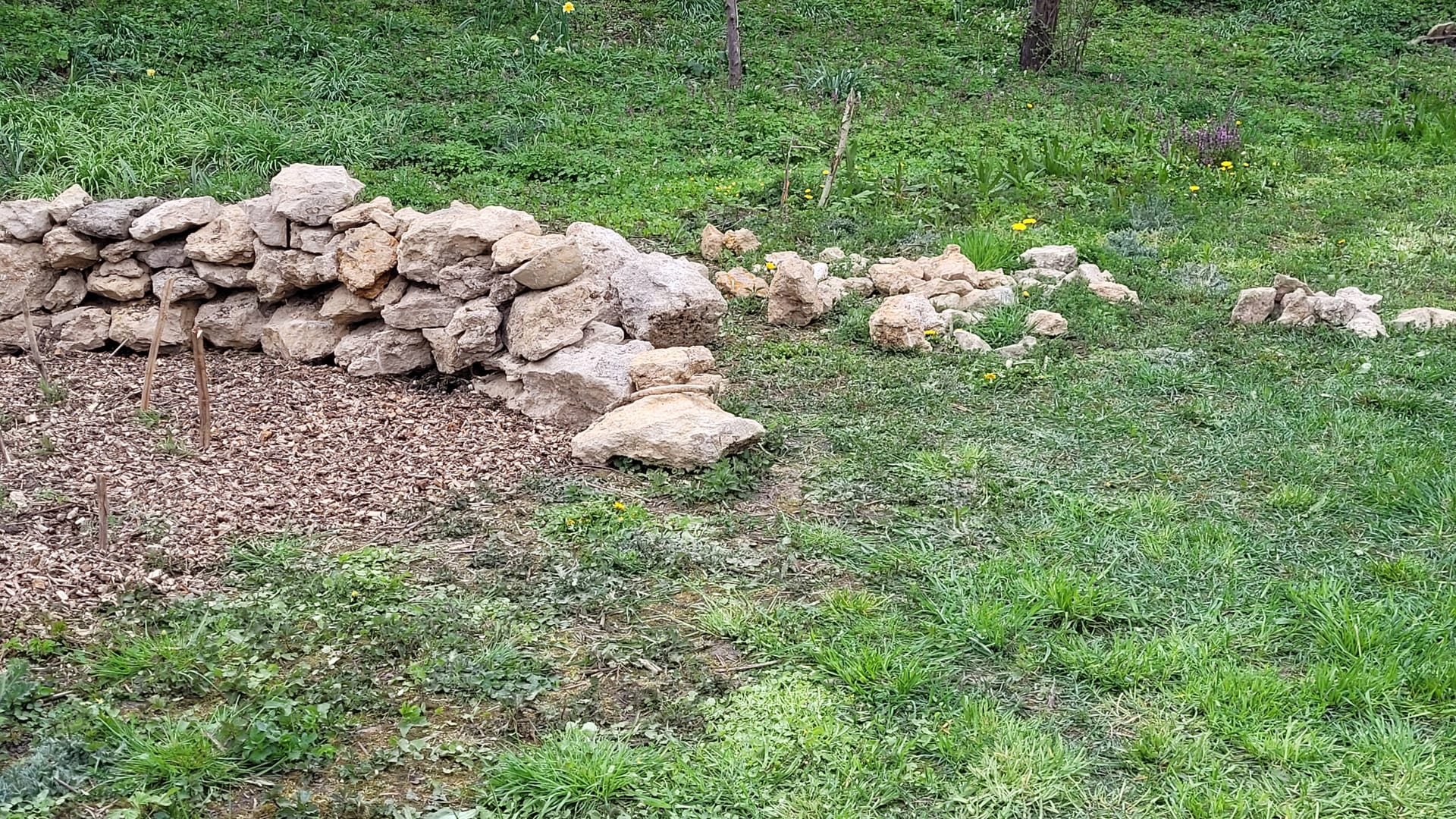 Die Eidechsenmauer – ein Zuhause für kleine Hofbewohner