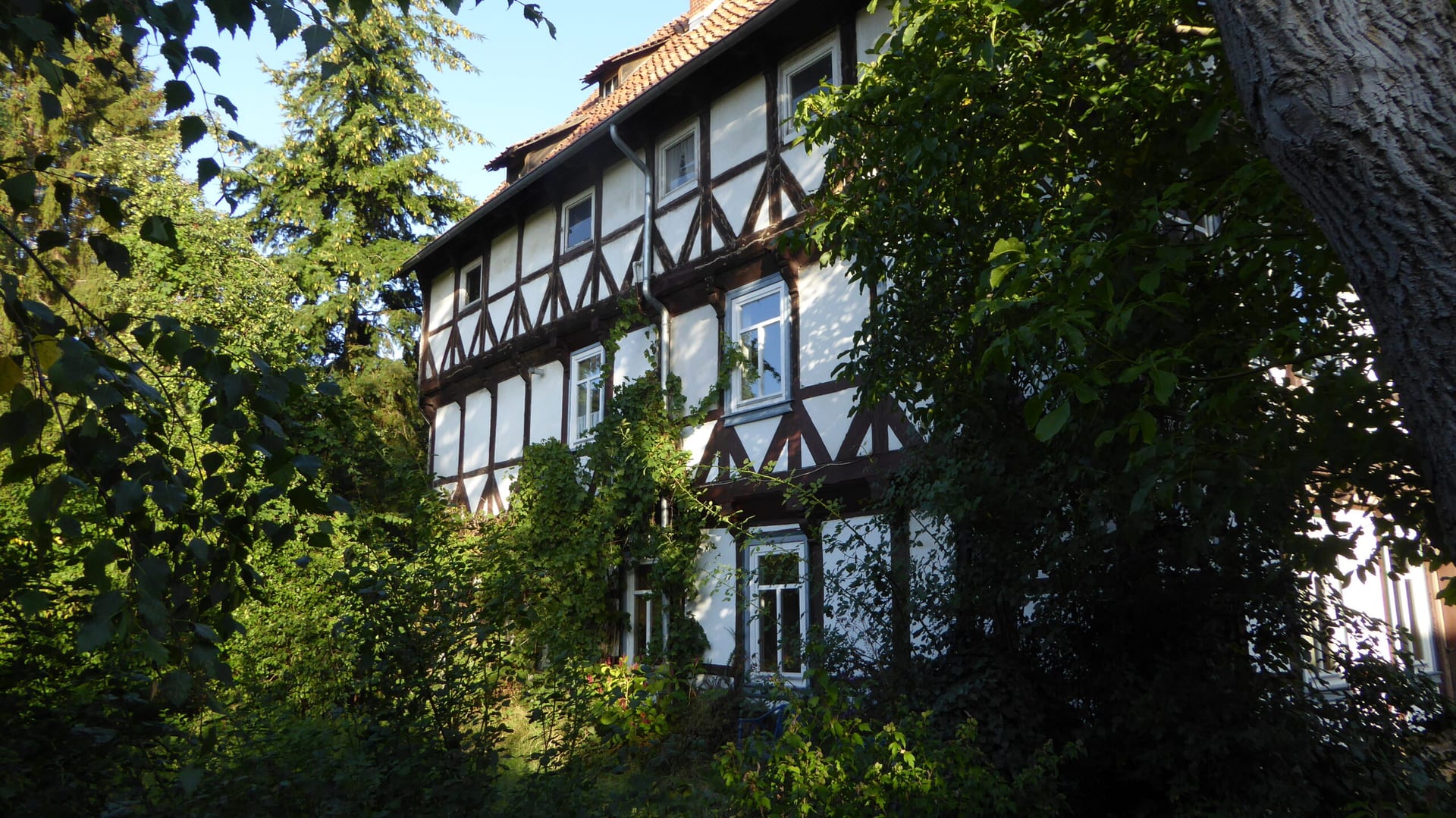 Südseite des Hauses, Herbst 2018